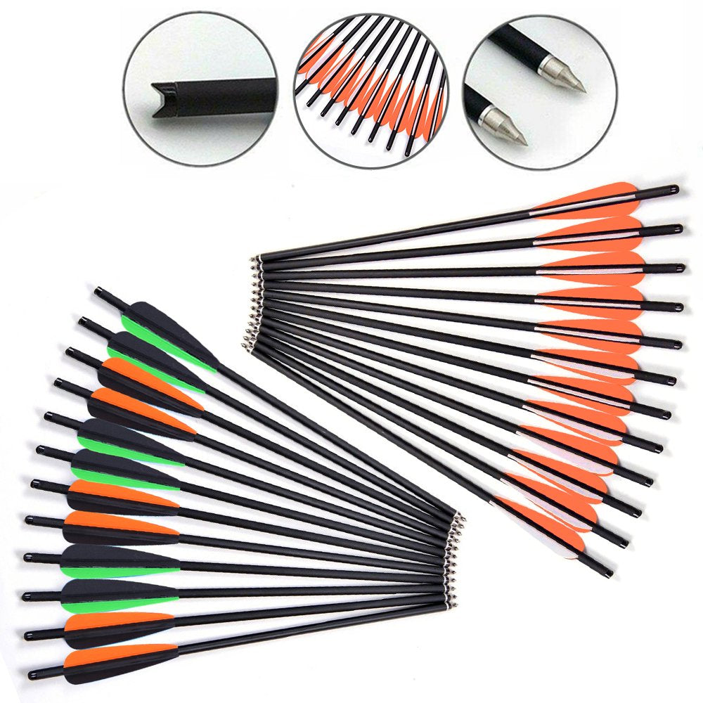 12PCS 20" Carbon Crossbow Bolts Hunting Arrows with 4" Vanes Replaceable Tips for Archery Practise Crossbow Arrows, Blue